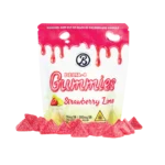 GUMMIES - STRAWBERRY LIME - Image 2